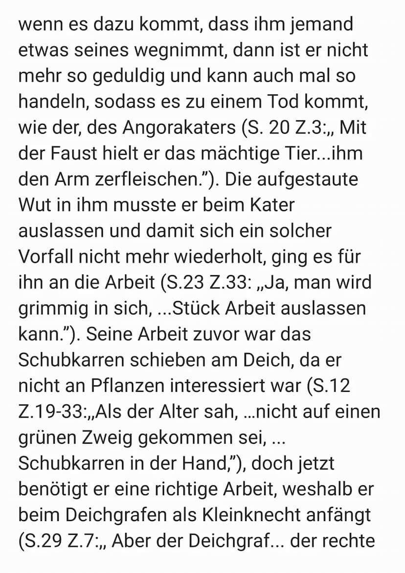 Charakterisierung Hauke Haiens
In der Novelle ,,der Schimmelreiter" von
Theodor Storm, 1888 geschrieben, geht es
um einen jungen Mann, der w