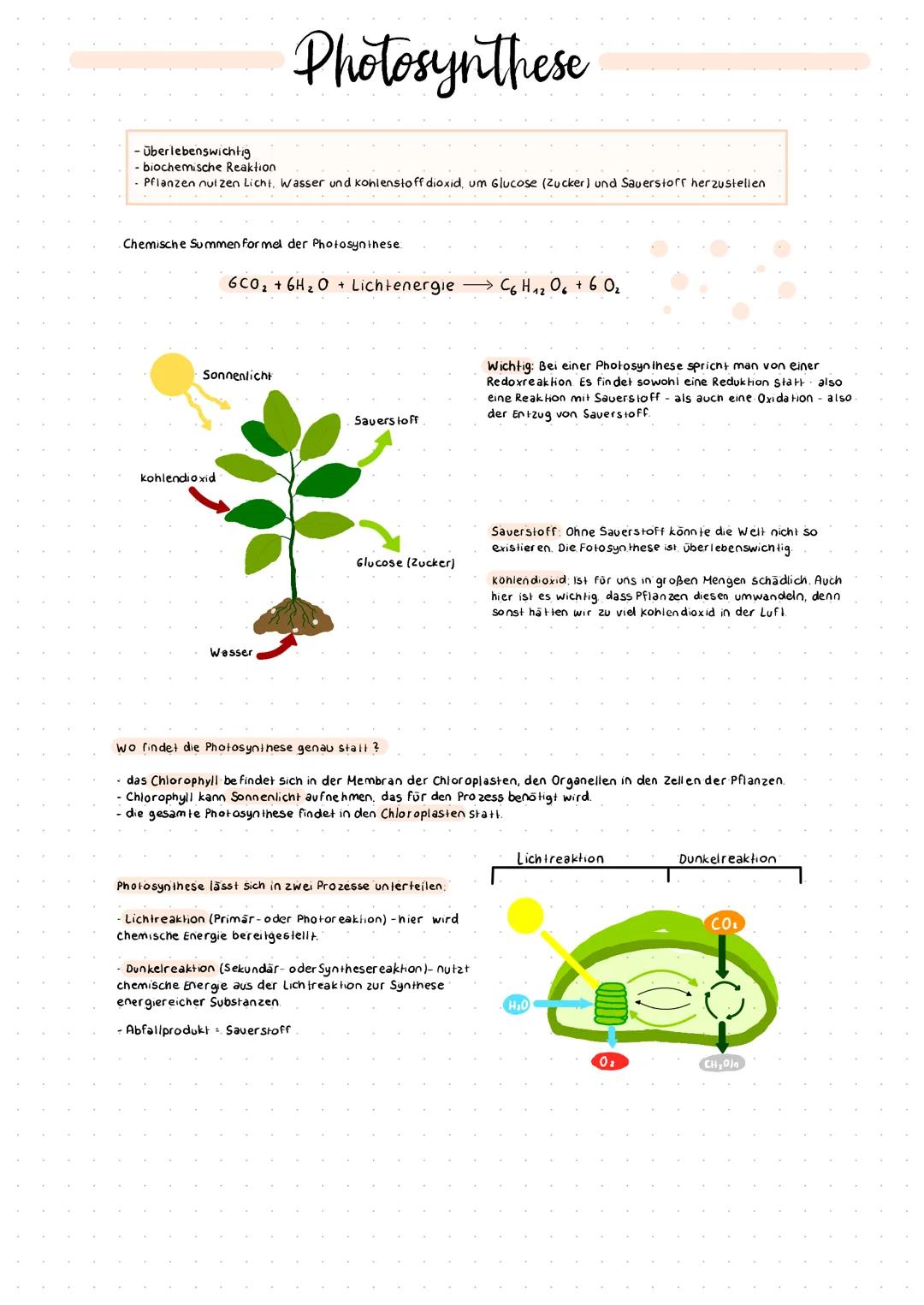 # Photosynthese

- überlebenswichtig
- biochemische Reaktion
Pflanzen nuizen Lichi, Wasser und kohlenstoff dioxid, um Glucose (Zucker) und S