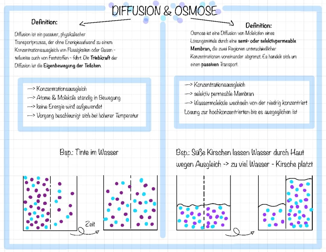 Diffusion und Osmose