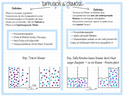 Know Diffusion und Osmose thumbnail
