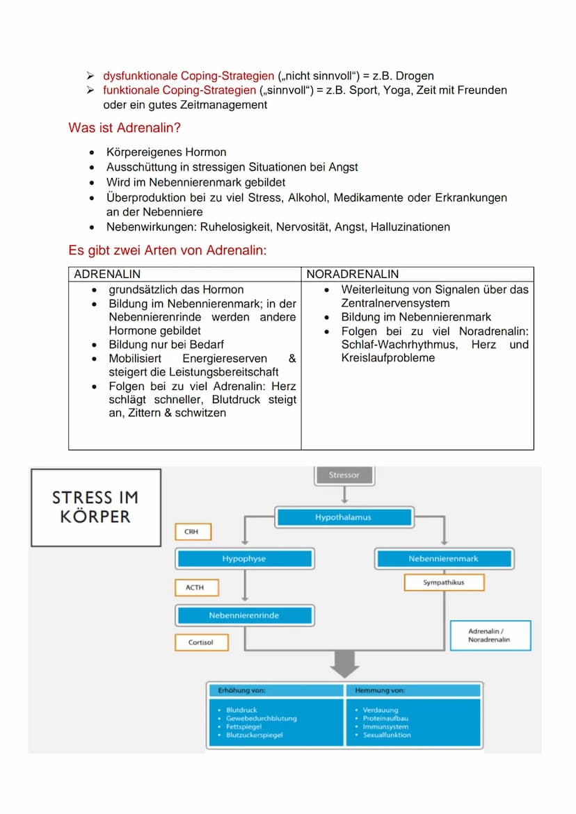 Stress
Definition: Stress ist eine körperliche und psychische Überforderung, welche
physiologisch als auch pathologisch ausgeprägt sein kann