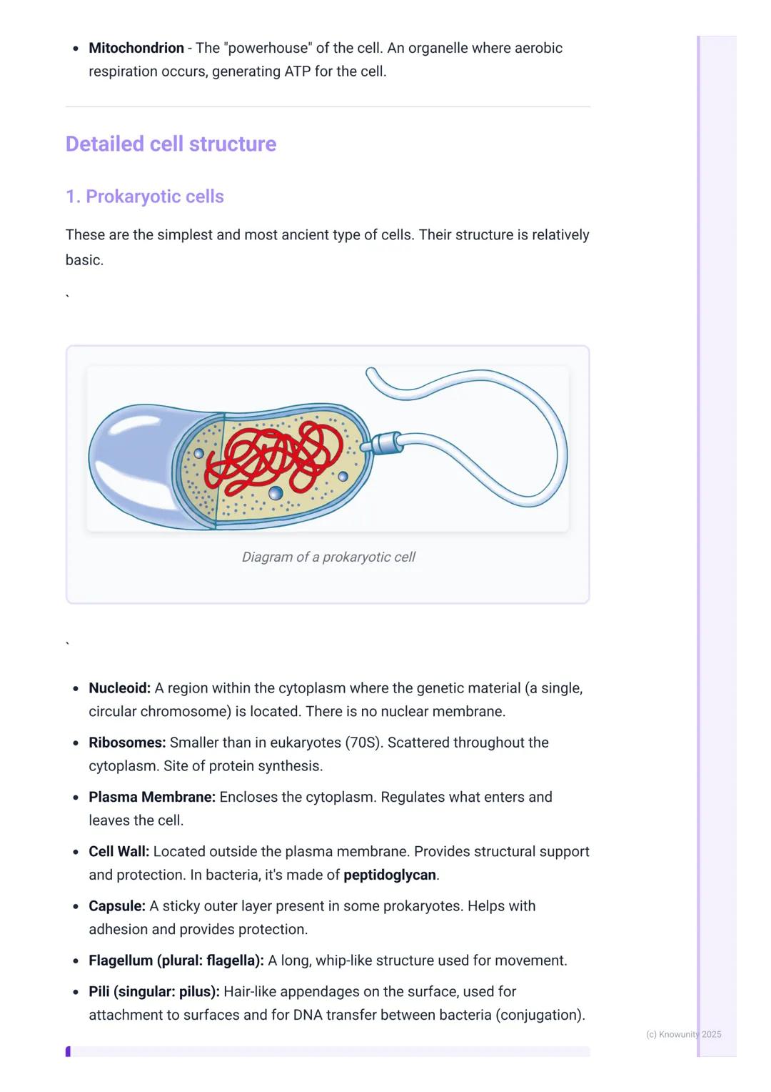 # Cell Structure and Function

Introduction to cell theory and types

The cell is the fundamental structural and functional unit of all know