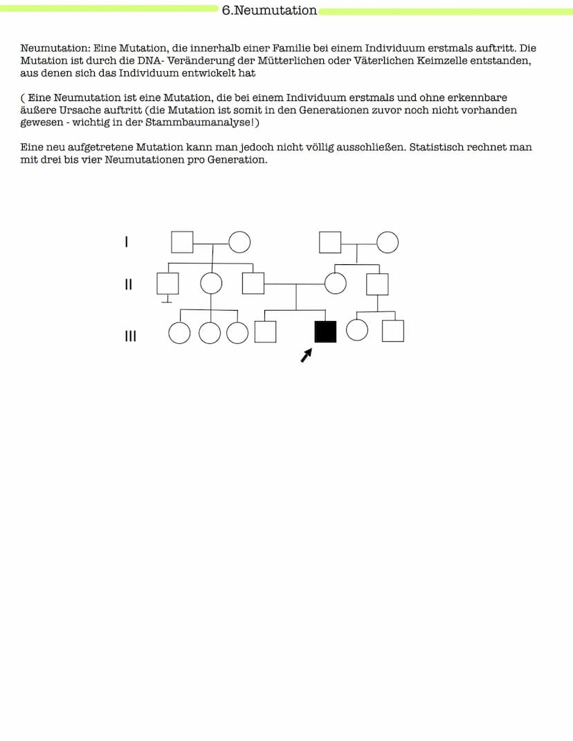 Klausur Genetik
1. Grundbegriffe der Genetik
Humangenetik
2. Mitose und Meiose
3.Gemeinsamkeiten und Unterschiede (Mitose & Meiose)-> Inter-