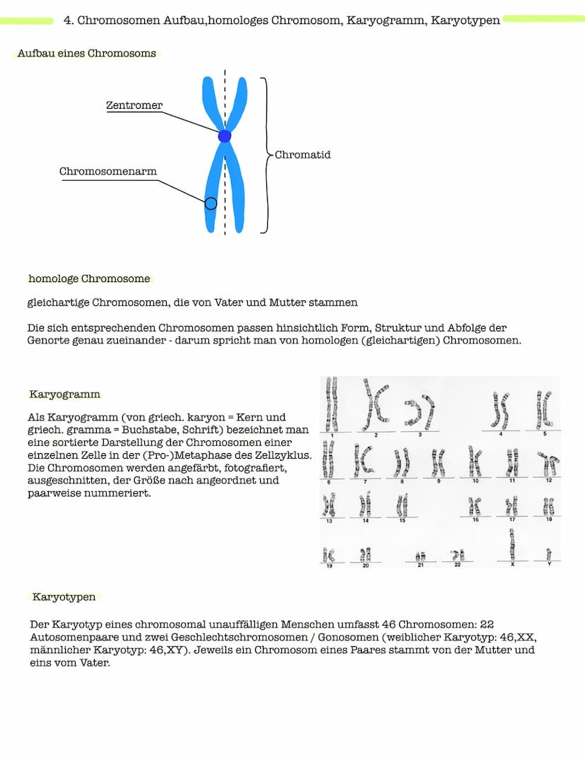 Klausur Genetik
1. Grundbegriffe der Genetik
Humangenetik
2. Mitose und Meiose
3.Gemeinsamkeiten und Unterschiede (Mitose & Meiose)-> Inter-