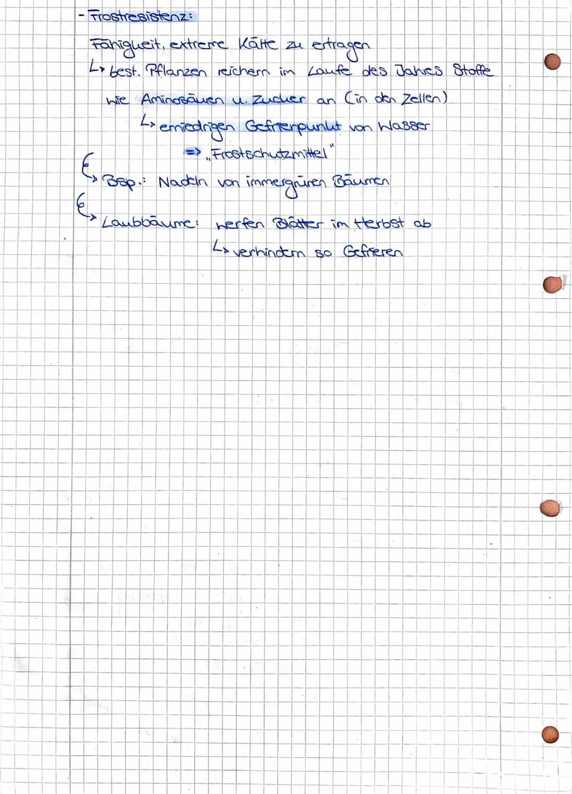 Intensität d. Lebensvorgänge
abiotische
faktoreh
Minit
mum,
Pessimum
-Toleranzbereich:
Optimum
Präferendum
umweet
-Toleranzbereich
einer Art