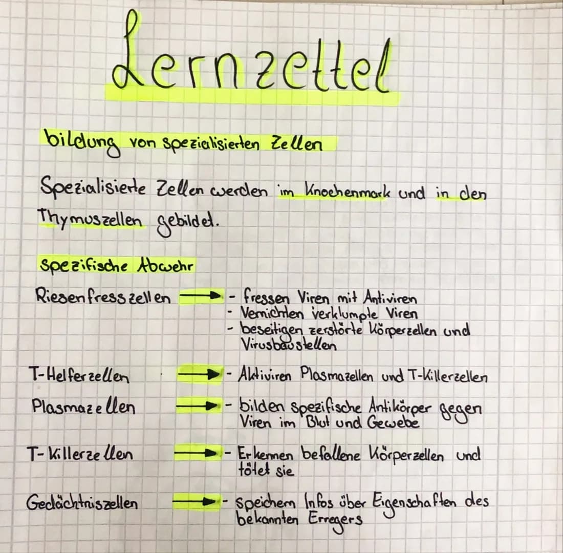 Lernzettel
bildung
von Spezialisierten Zellen
Spezialisierte Zellen werden im Knochenmark und in den
Thymuszellen gebildet.
Spezifische Abwe