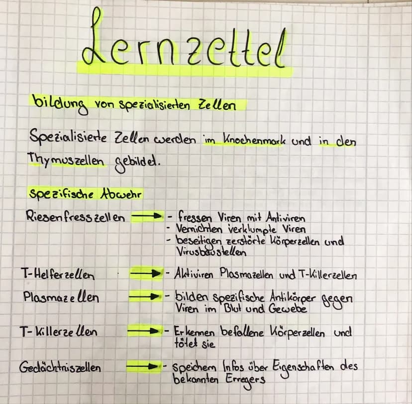 Lernzettel
bildung
von Spezialisierten Zellen
Spezialisierte Zellen werden im Knochenmark und in den
Thymuszellen gebildet.
Spezifische Abwe