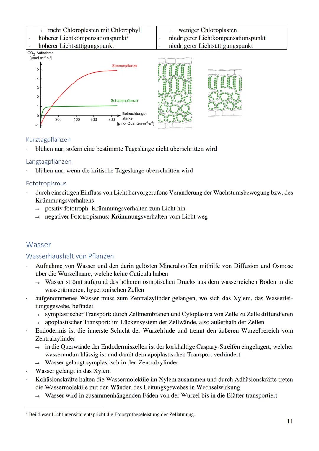 Inhaltsverzeichnis
Ökologie..
Umwelt..
abiotische Umweltfaktoren
biotische Umweltfaktoren...
Toleranzkurve..
Temperatur.
Reaktionsgeschwindi