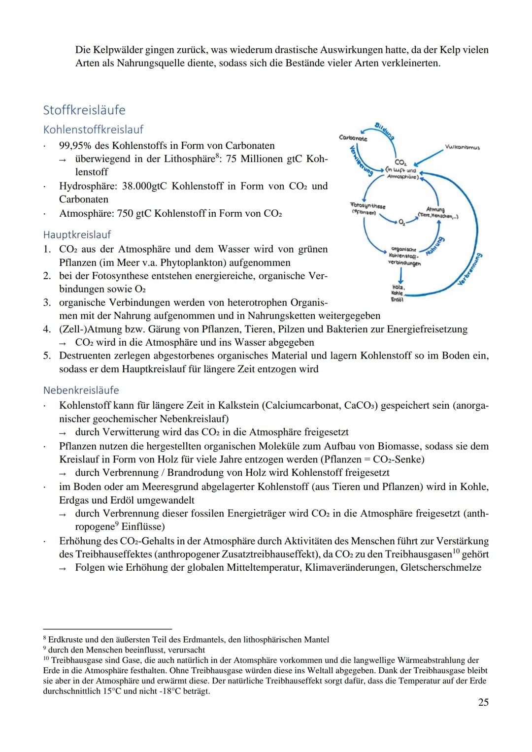 Inhaltsverzeichnis
Ökologie..
Umwelt..
abiotische Umweltfaktoren
biotische Umweltfaktoren...
Toleranzkurve..
Temperatur.
Reaktionsgeschwindi