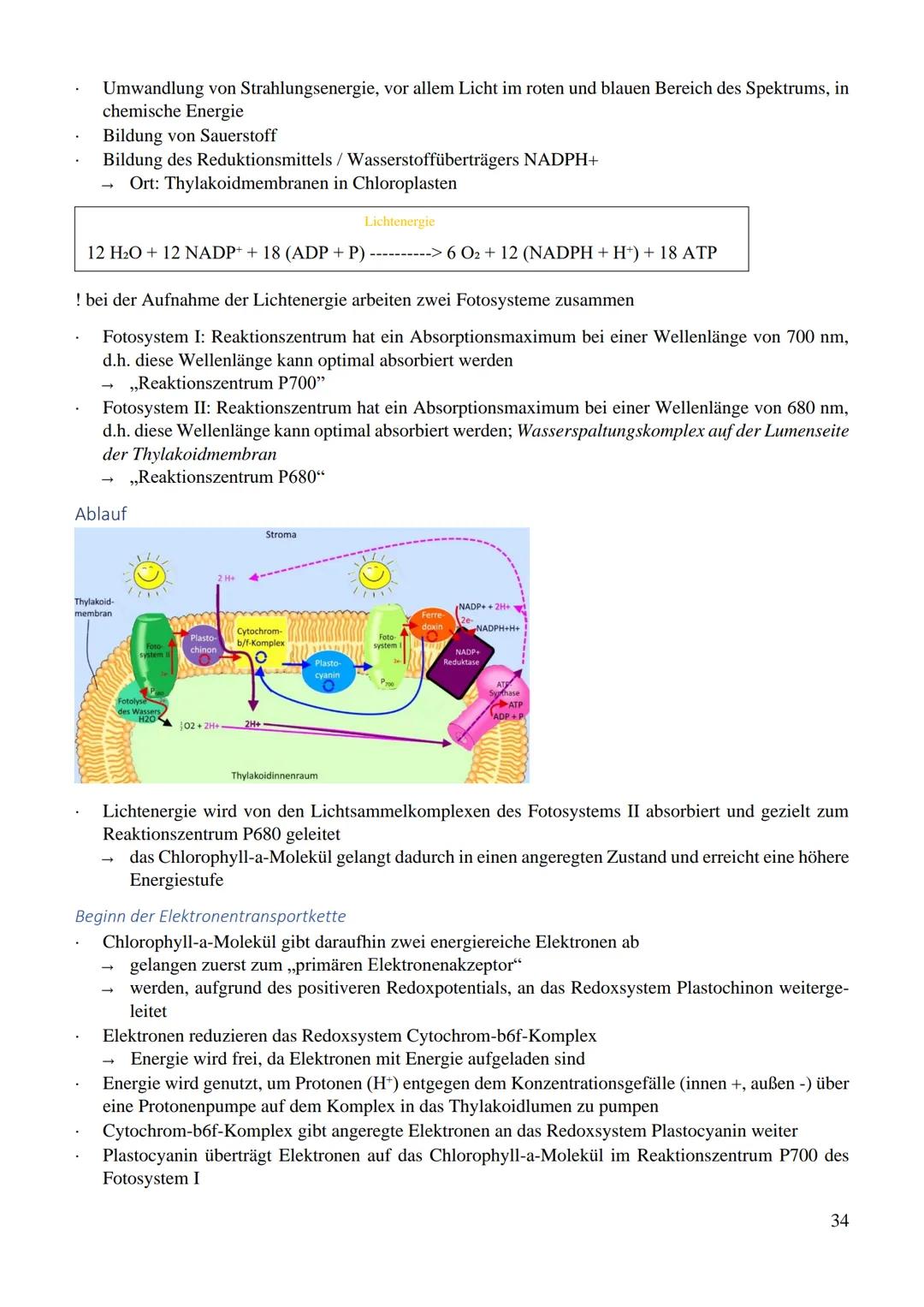 Inhaltsverzeichnis
Ökologie..
Umwelt..
abiotische Umweltfaktoren
biotische Umweltfaktoren...
Toleranzkurve..
Temperatur.
Reaktionsgeschwindi