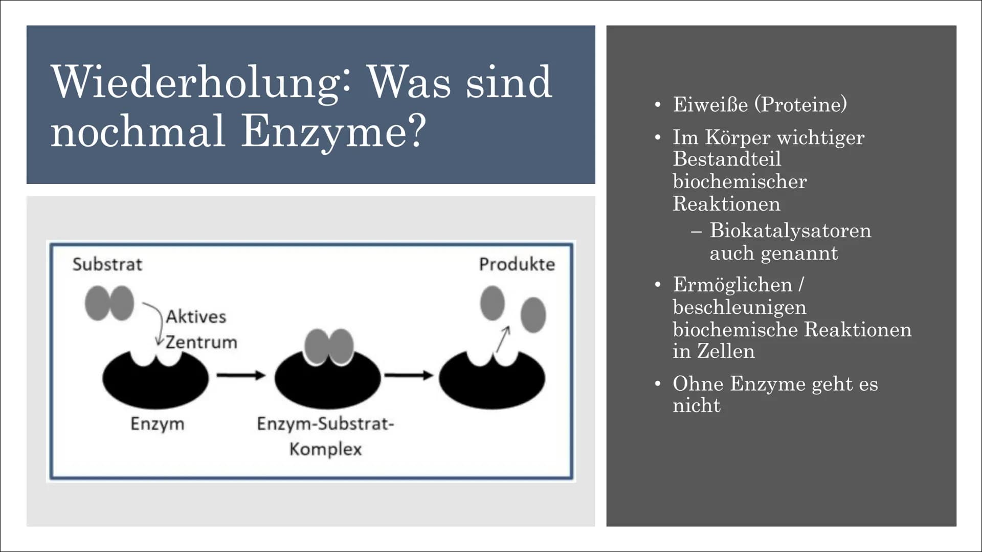 dm
nk
mit
SCHMITTEL
TIVE
T
45 Wäscher clever
iBe
Bi
Waschmittel
MATE
T
P
POW
COLOR INHALTSVERZEICHNIS
1. Wiederholung: Was sind nochmal Enzy