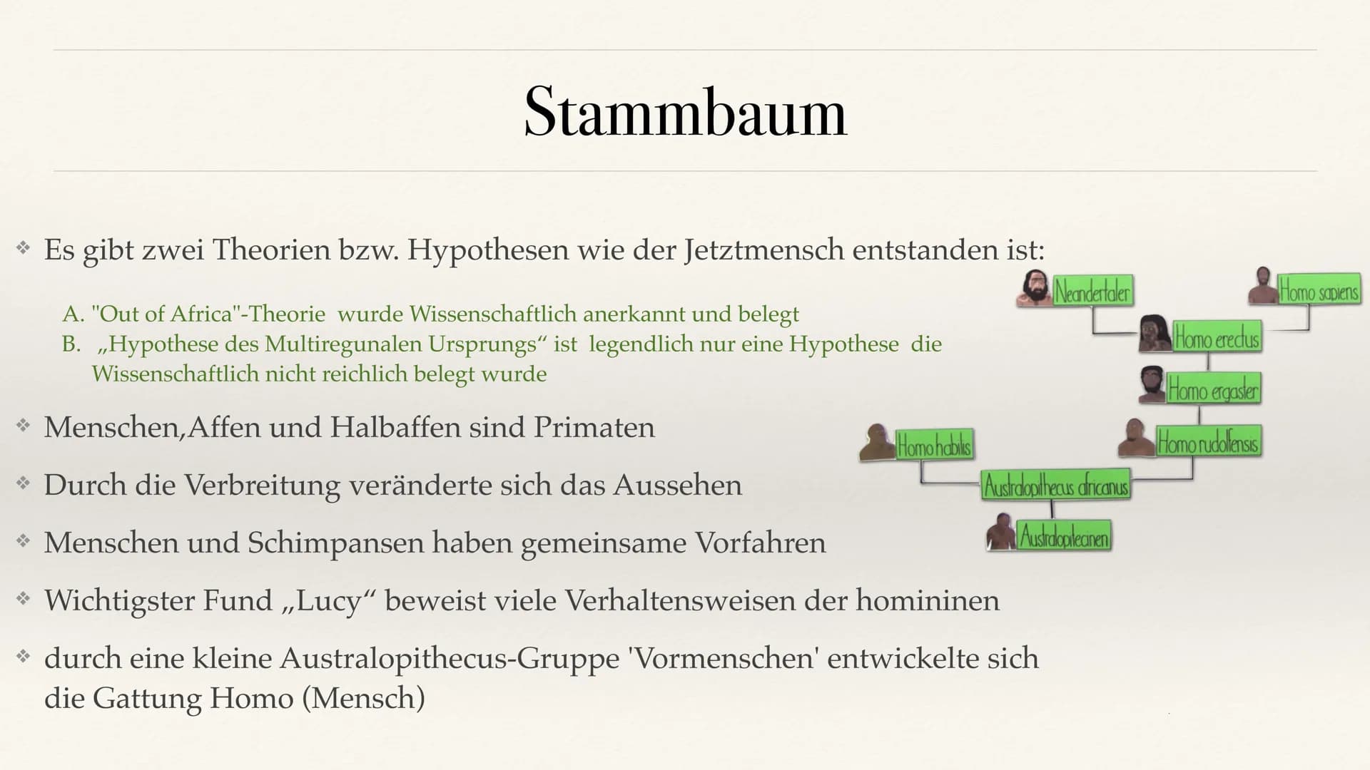 Der Stammbaum des Menschen Evolution der Menschheit ●
●
Stammbaum der Menschen
Homo Habilis
A. Biografie
B. Lebensweise
Homo erectus
C. Biog