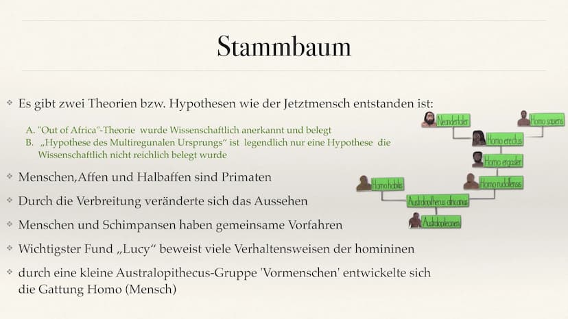 Der Stammbaum des Menschen Evolution der Menschheit ●
●
Stammbaum der Menschen
Homo Habilis
A. Biografie
B. Lebensweise
Homo erectus
C. Biog