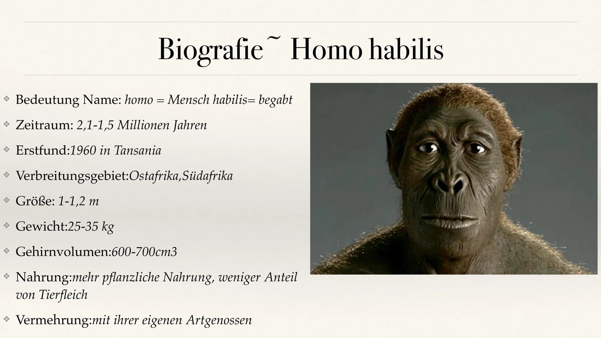 Der Stammbaum des Menschen Evolution der Menschheit ●
●
Stammbaum der Menschen
Homo Habilis
A. Biografie
B. Lebensweise
Homo erectus
C. Biog