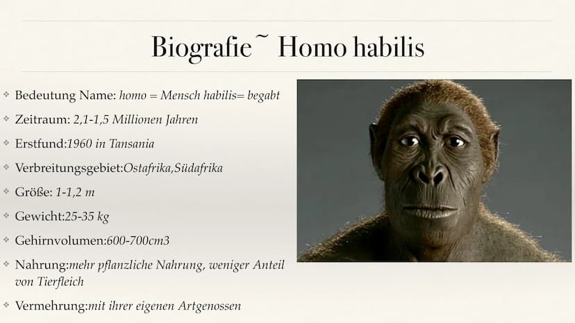 Der Stammbaum des Menschen Evolution der Menschheit ●
●
Stammbaum der Menschen
Homo Habilis
A. Biografie
B. Lebensweise
Homo erectus
C. Biog