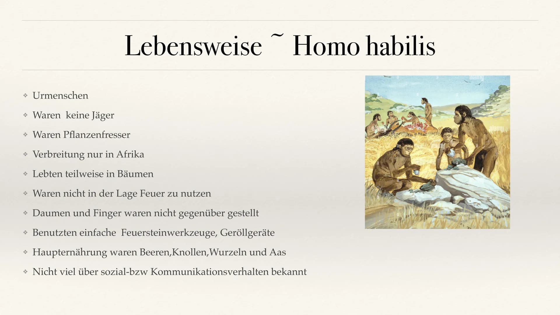 Der Stammbaum des Menschen Evolution der Menschheit ●
●
Stammbaum der Menschen
Homo Habilis
A. Biografie
B. Lebensweise
Homo erectus
C. Biog