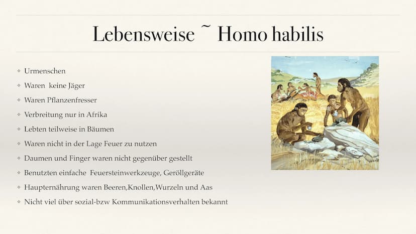 Der Stammbaum des Menschen Evolution der Menschheit ●
●
Stammbaum der Menschen
Homo Habilis
A. Biografie
B. Lebensweise
Homo erectus
C. Biog