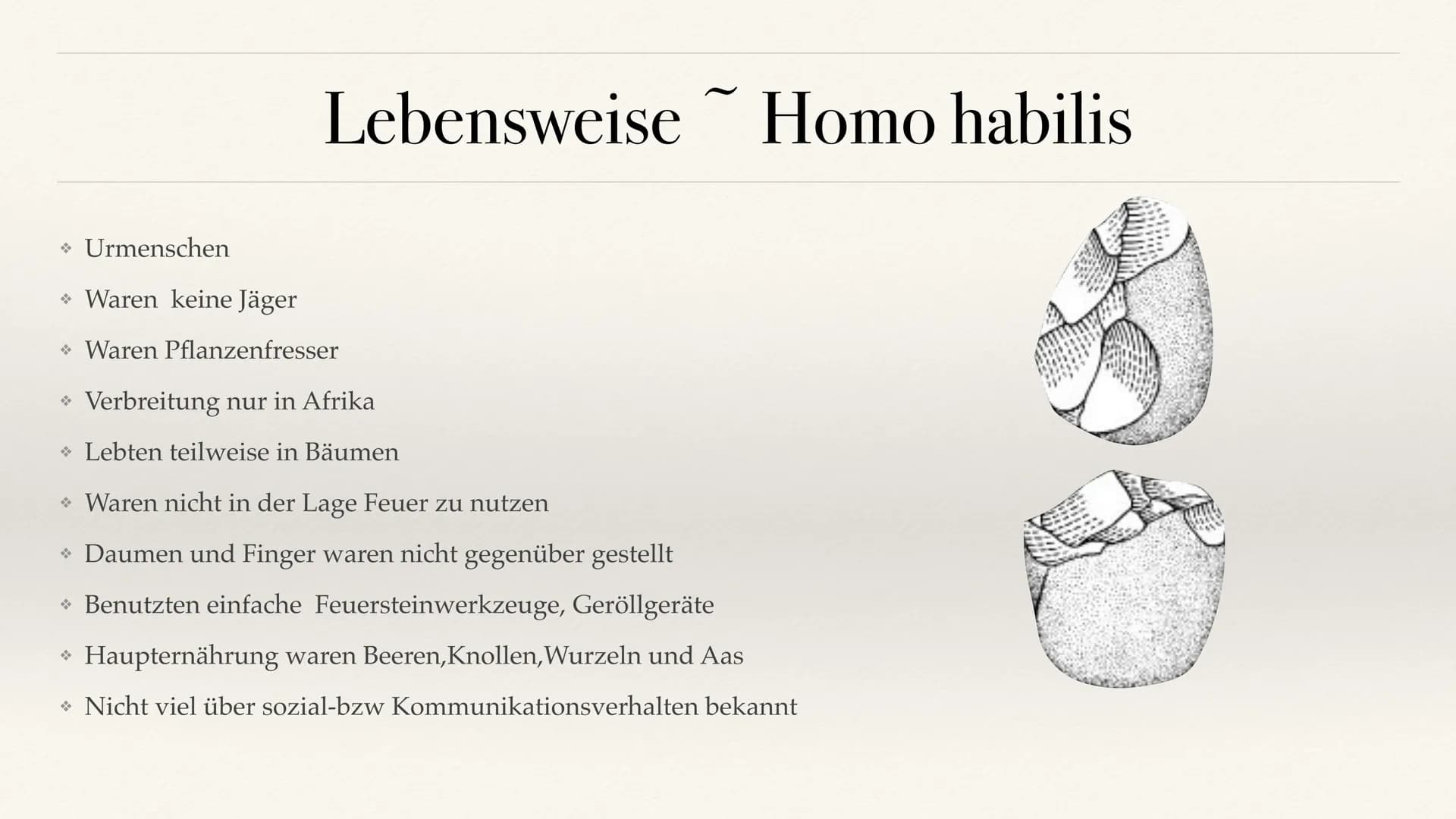 Der Stammbaum des Menschen Evolution der Menschheit ●
●
Stammbaum der Menschen
Homo Habilis
A. Biografie
B. Lebensweise
Homo erectus
C. Biog