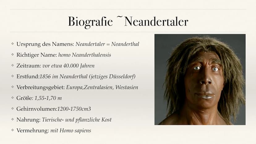 Der Stammbaum des Menschen Evolution der Menschheit ●
●
Stammbaum der Menschen
Homo Habilis
A. Biografie
B. Lebensweise
Homo erectus
C. Biog