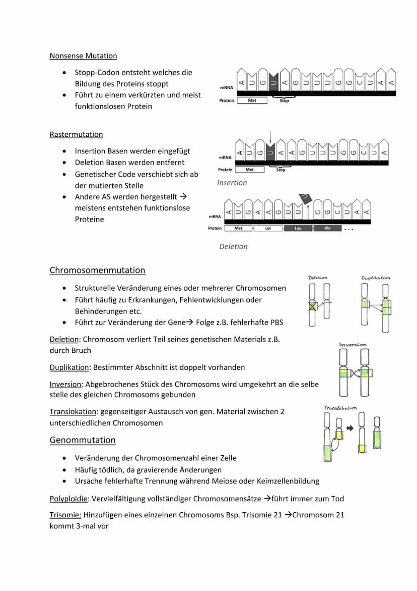 Biologie LK
Was sind Mutationen?
●
● Dauerhafte Veränderung des Genoms
● Veränderte Gene = mutierte Gene
Unterscheidung von ursprünglichem G