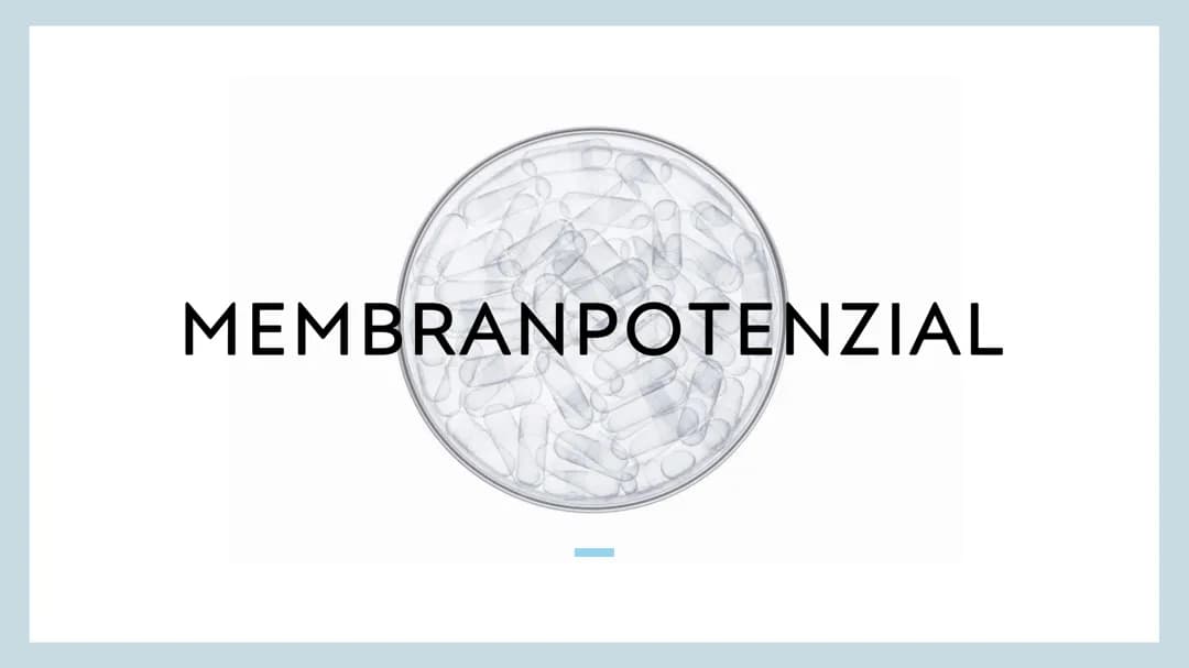 Präsentation Membranpotenzial