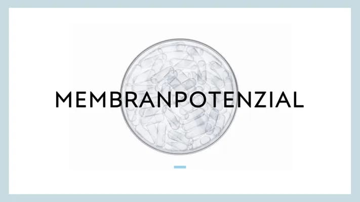 Know Präsentation Membranpotenzial thumbnail