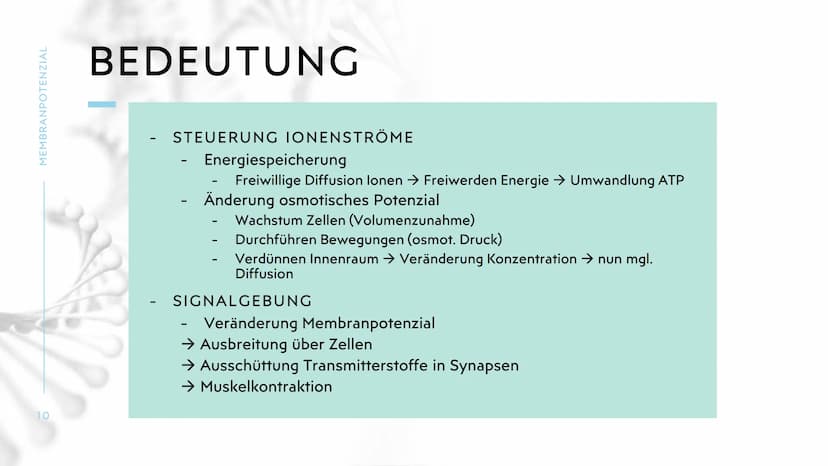 MEMBRANPOTENZIAL MEMBRANPOTENZIAL
2
AGENDA
■ DEFINITION
■
RUHEPOTENZIAL
ENTSTEHUNG
WIEDERHOLUNG: NATRIUM-KALIUM-PUMPE
AKTIONSPOTENZIAL
BEDEU