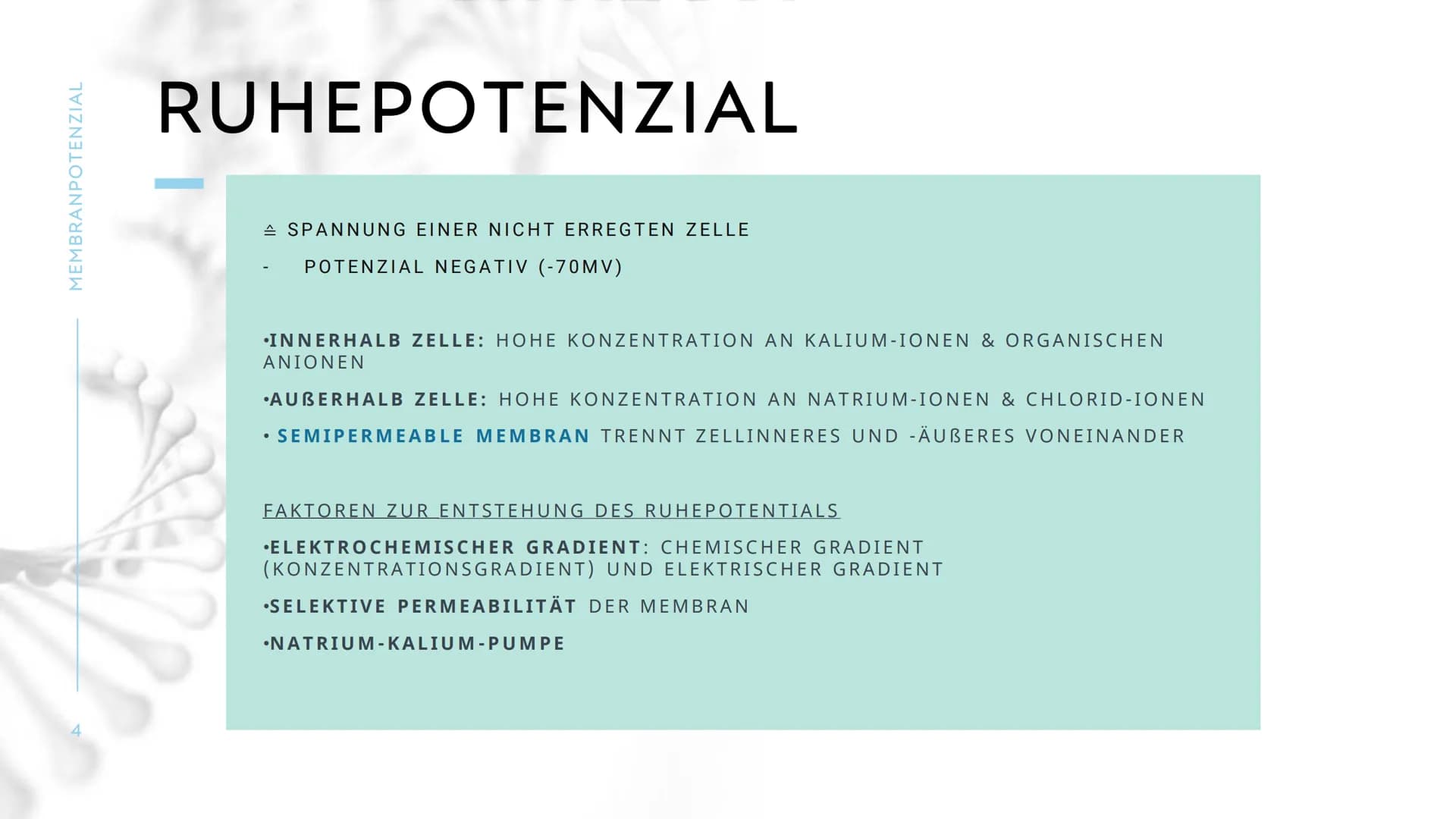MEMBRANPOTENZIAL MEMBRANPOTENZIAL
2
AGENDA
■ DEFINITION
■
RUHEPOTENZIAL
ENTSTEHUNG
WIEDERHOLUNG: NATRIUM-KALIUM-PUMPE
AKTIONSPOTENZIAL
BEDEU