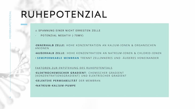 MEMBRANPOTENZIAL MEMBRANPOTENZIAL
2
AGENDA
■ DEFINITION
■
RUHEPOTENZIAL
ENTSTEHUNG
WIEDERHOLUNG: NATRIUM-KALIUM-PUMPE
AKTIONSPOTENZIAL
BEDEU