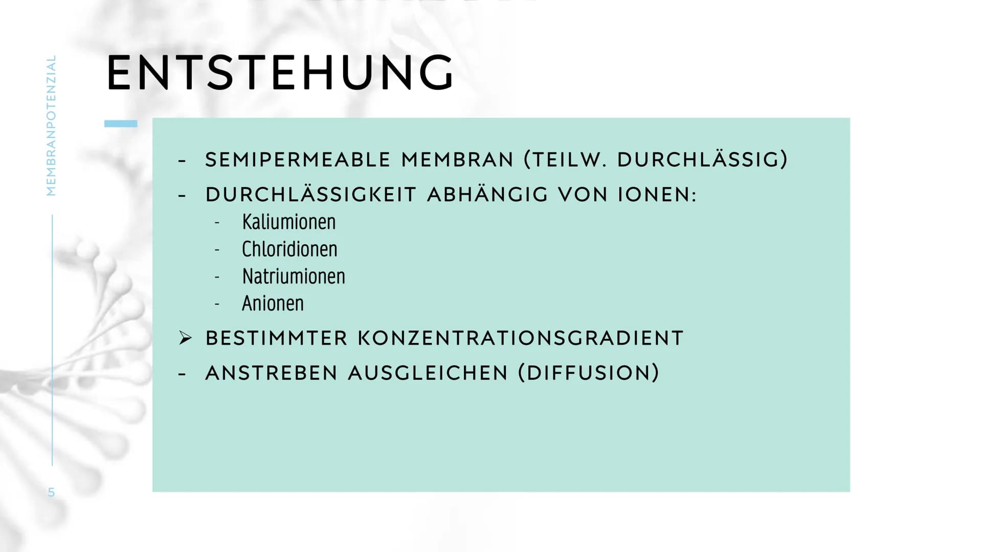 MEMBRANPOTENZIAL MEMBRANPOTENZIAL
2
AGENDA
■ DEFINITION
■
RUHEPOTENZIAL
ENTSTEHUNG
WIEDERHOLUNG: NATRIUM-KALIUM-PUMPE
AKTIONSPOTENZIAL
BEDEU