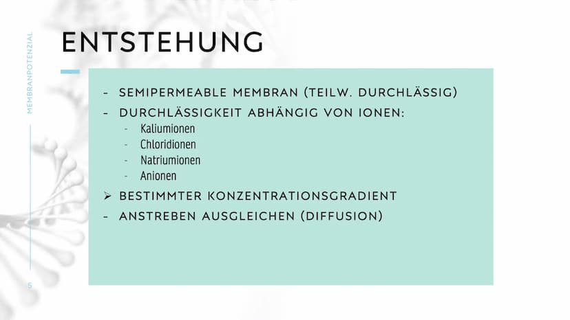 MEMBRANPOTENZIAL MEMBRANPOTENZIAL
2
AGENDA
■ DEFINITION
■
RUHEPOTENZIAL
ENTSTEHUNG
WIEDERHOLUNG: NATRIUM-KALIUM-PUMPE
AKTIONSPOTENZIAL
BEDEU