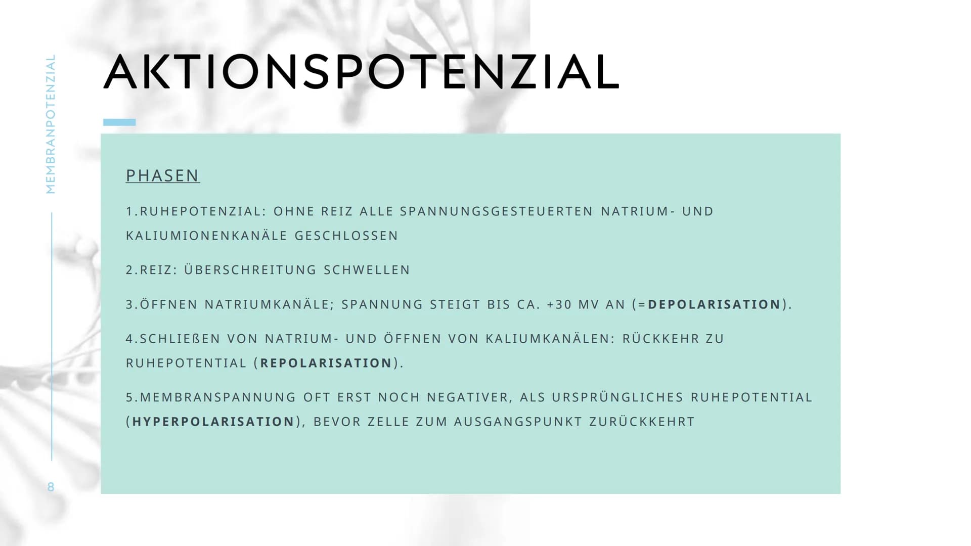 MEMBRANPOTENZIAL MEMBRANPOTENZIAL
2
AGENDA
■ DEFINITION
■
RUHEPOTENZIAL
ENTSTEHUNG
WIEDERHOLUNG: NATRIUM-KALIUM-PUMPE
AKTIONSPOTENZIAL
BEDEU