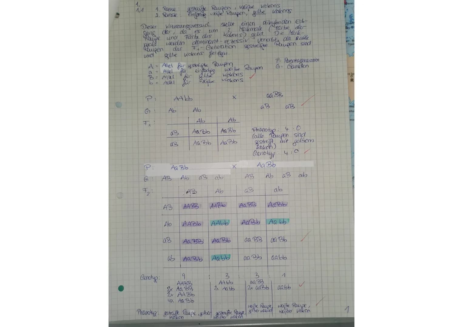 2
1.
3.
Auf der Grundlage seiner Experimente mit verschiedenen Erbsensorten formulierte im Jahre 1865
Augustinermönch G. J. Mendel Gesetzmäß