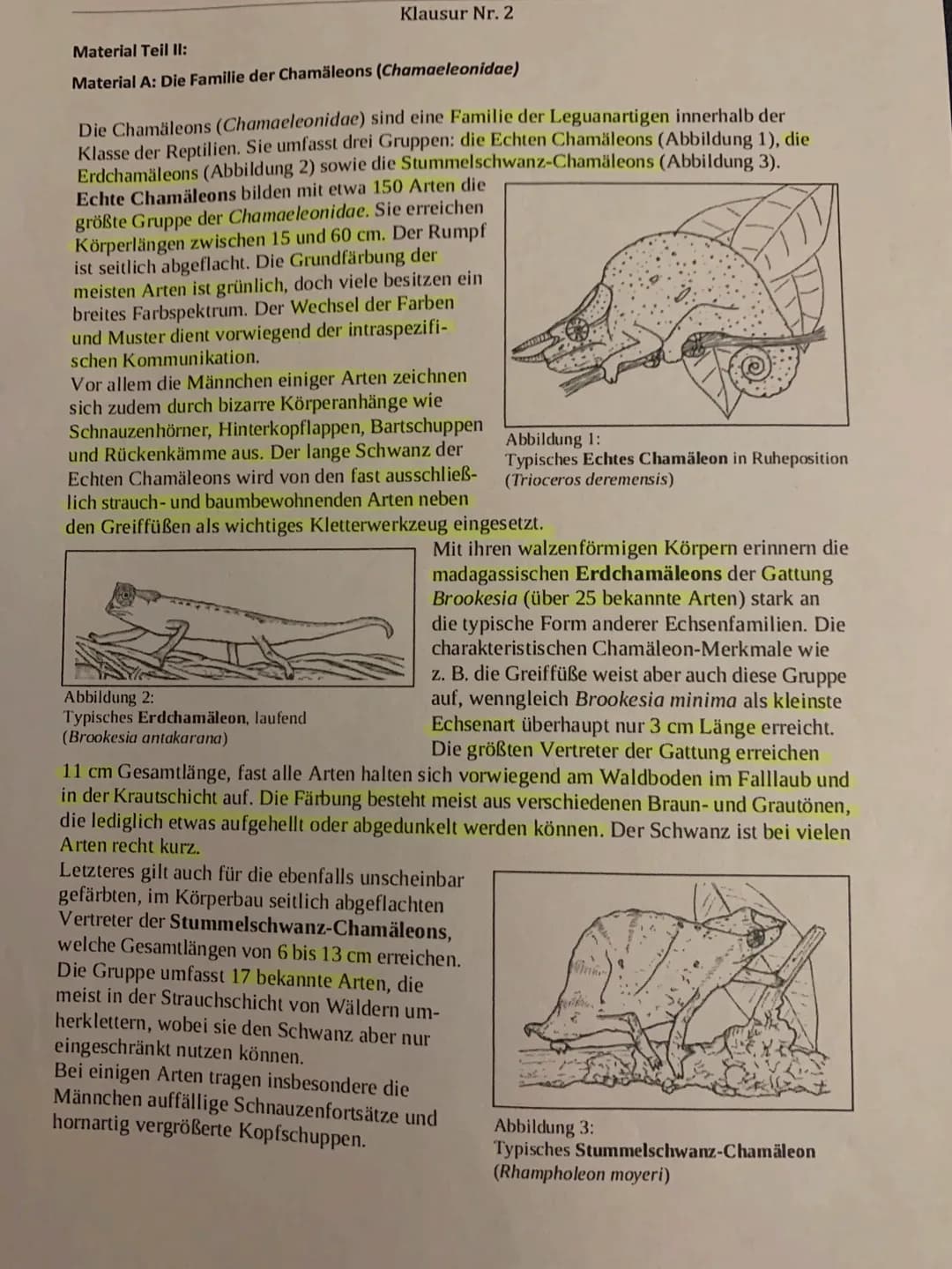
<h2 id="homologieanalogie">Homologie/Analogie</h2>
<p>Der Begriff "Homologie" beschreibt, dass trotz einer ursprünglichen Verwandtschaft, z