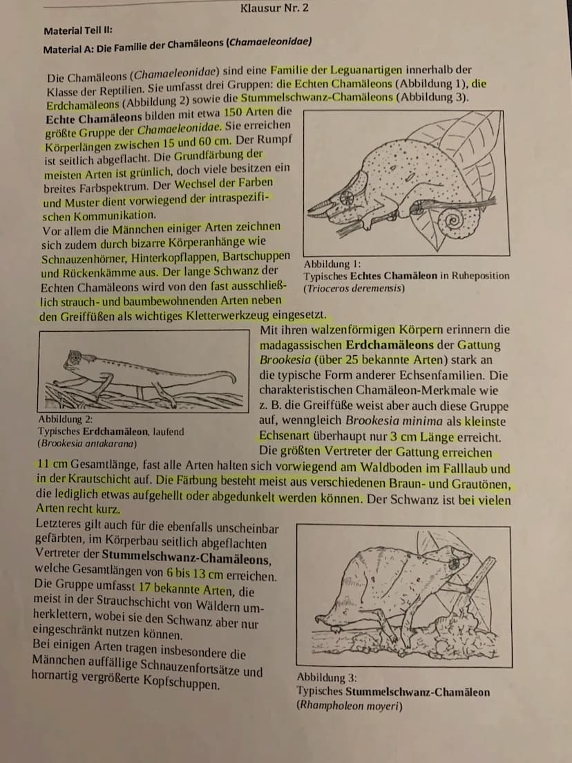 
<h2 id="homologieanalogie">Homologie/Analogie</h2>
<p>Der Begriff "Homologie" beschreibt, dass trotz einer ursprünglichen Verwandtschaft, z
