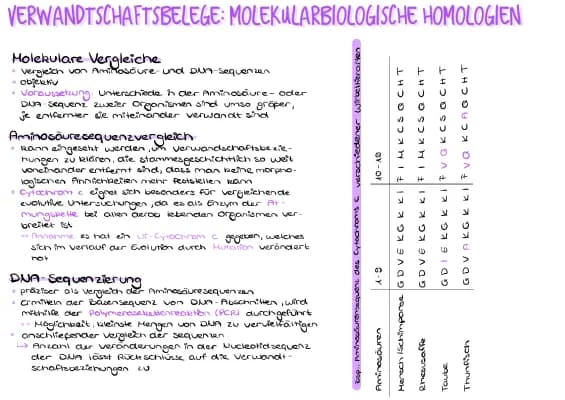 Know Verwandtschaftsbelege: Molekularbiologische Homologien  thumbnail