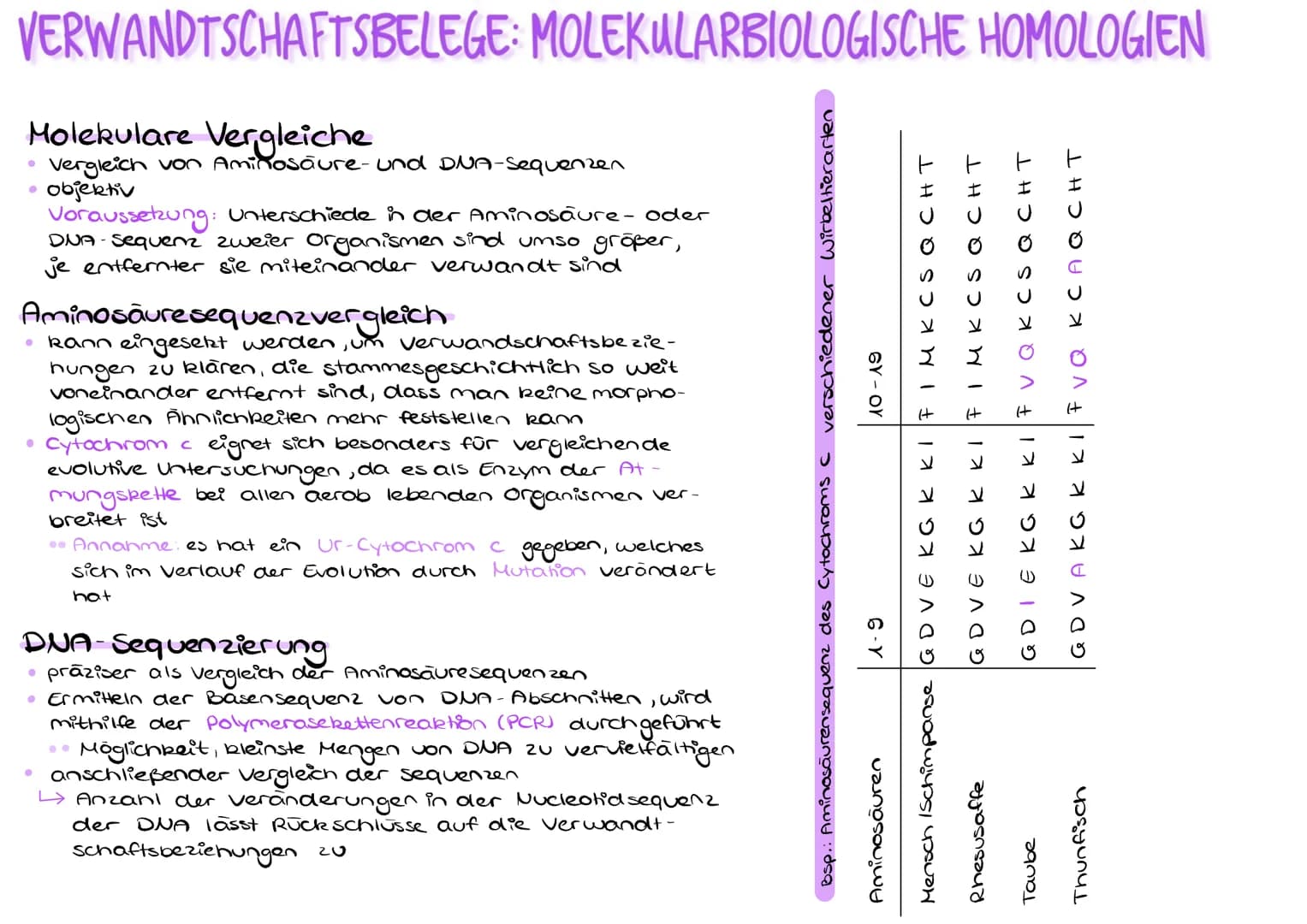 VERWANDTSCHAFTSBELEGE: MOLEKULARBIOLOGISCHE HOMOLOGIEN
Molekulare Vergleiche
Vergleich von Aminosäure- und DNA-sequenzen
objektiv
●
Vorausse