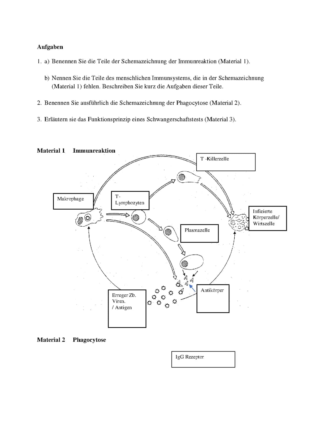 Immunbiologie