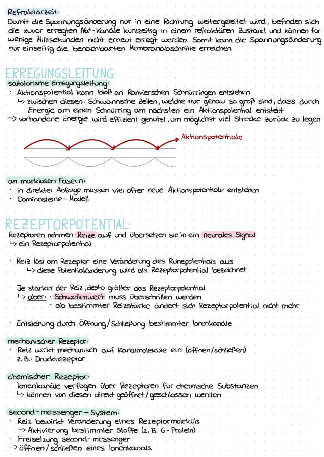 Refraktärzeit einfach erklärt: Saltatorische und kontinuierliche Erregungsleitung, Rezeptorpotential
