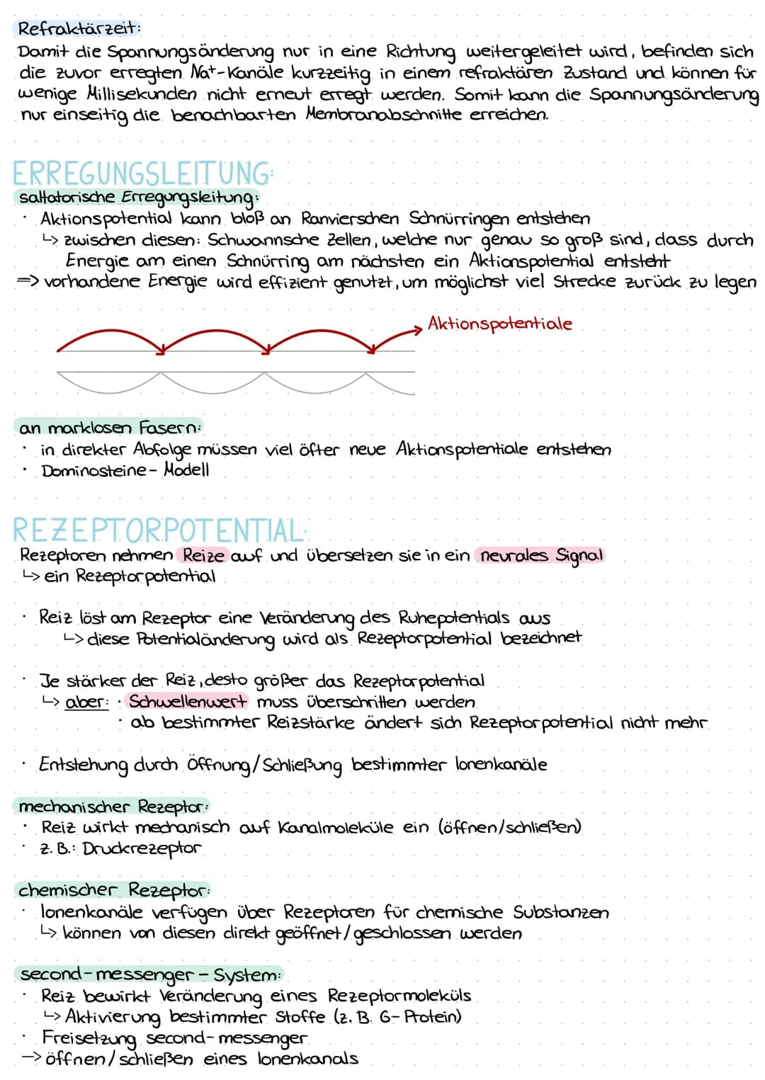 Refraktärzeit:
Damit die Spannungsänderung nur in eine Richtung weitergeleitet wird, befinden sich
die zuvor erregten Nat-Kanäle kurzzeitig 