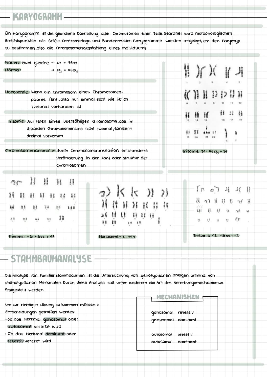 Themen:
- Meiose Vergleich Mitose & Meiose
- Karyogramm & Chromosomanomalien
- Stammbaumanalyse & Erbgangshypothesen
HEIOSE
Die Reduktionste