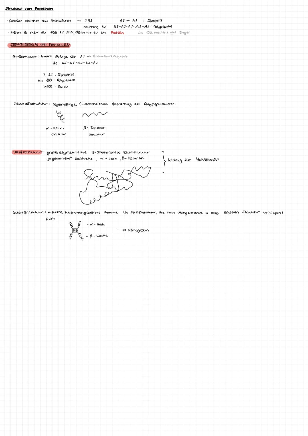 BIOLOGIE GK
ABITUR 23 Aufbau DNA
-besarrekoen + (Skizze)
Phosphat
zucher
Dejany look
S-foon zucher
Quesok
Suoniendrothe
→> Bestent su Doppel