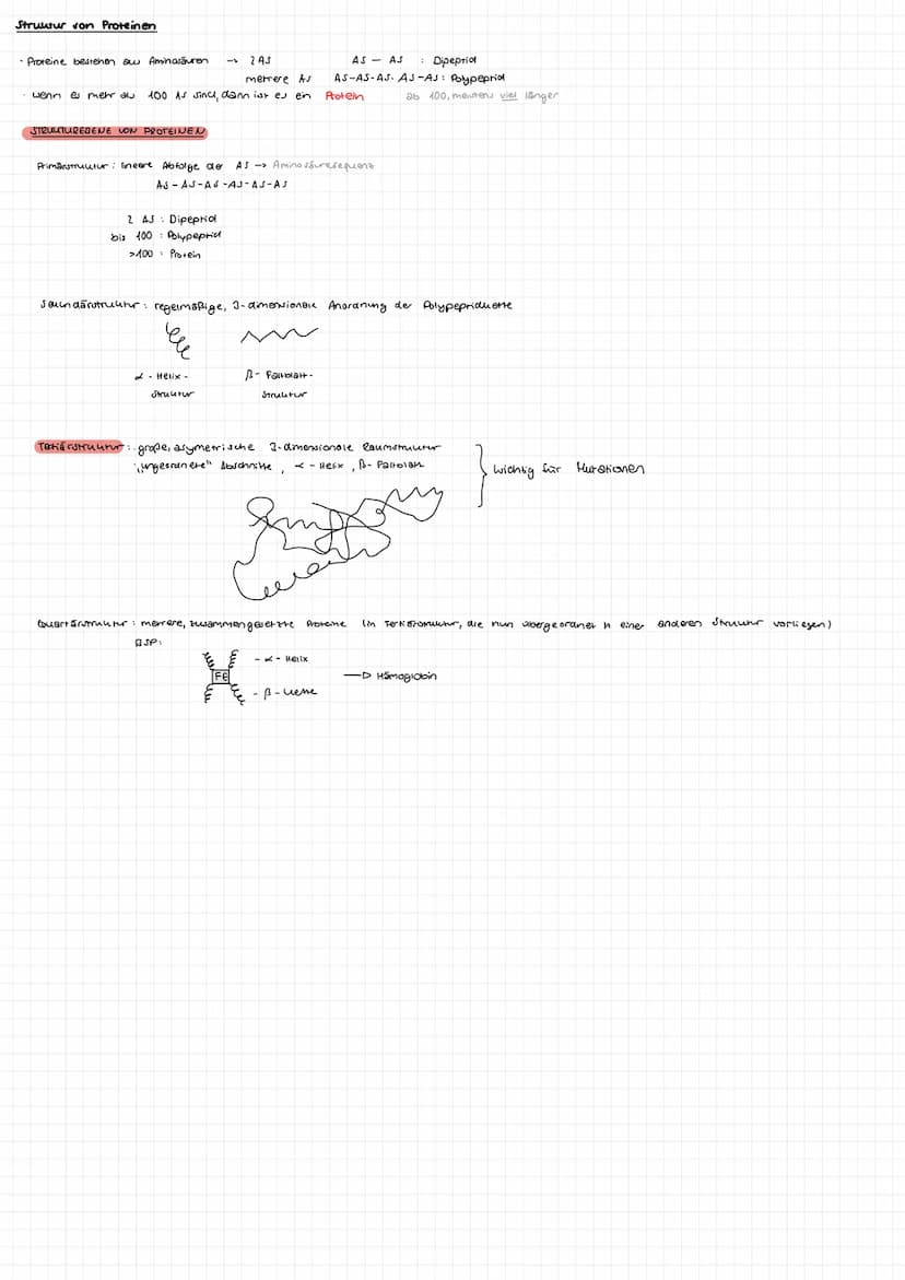BIOLOGIE GK
ABITUR 23 Aufbau DNA
-besarrekoen + (Skizze)
Phosphat
zucher
Dejany look
S-foon zucher
Quesok
Suoniendrothe
→> Bestent su Doppel