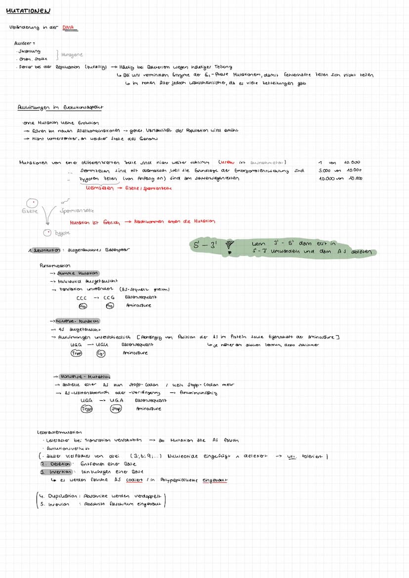 BIOLOGIE GK
ABITUR 23 Aufbau DNA
-besarrekoen + (Skizze)
Phosphat
zucher
Dejany look
S-foon zucher
Quesok
Suoniendrothe
→> Bestent su Doppel