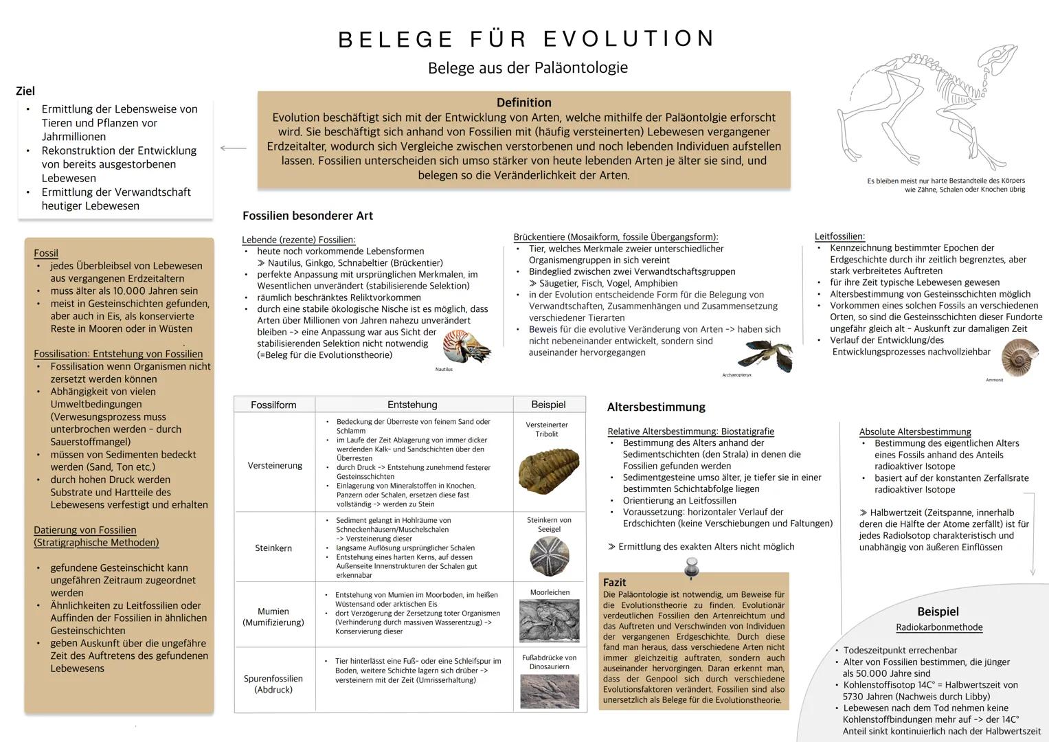 # Ziel

Ermittlung der Lebensweise von
Tieren und Pflanzen vor
Jahrmillionen
Rekonstruktion der Entwicklung
von bereits ausgestorbenen
Lebew