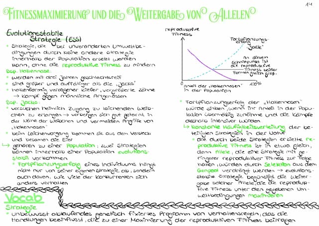 Know Fitnessmaximierung und die Weitergabe von Allelen  thumbnail