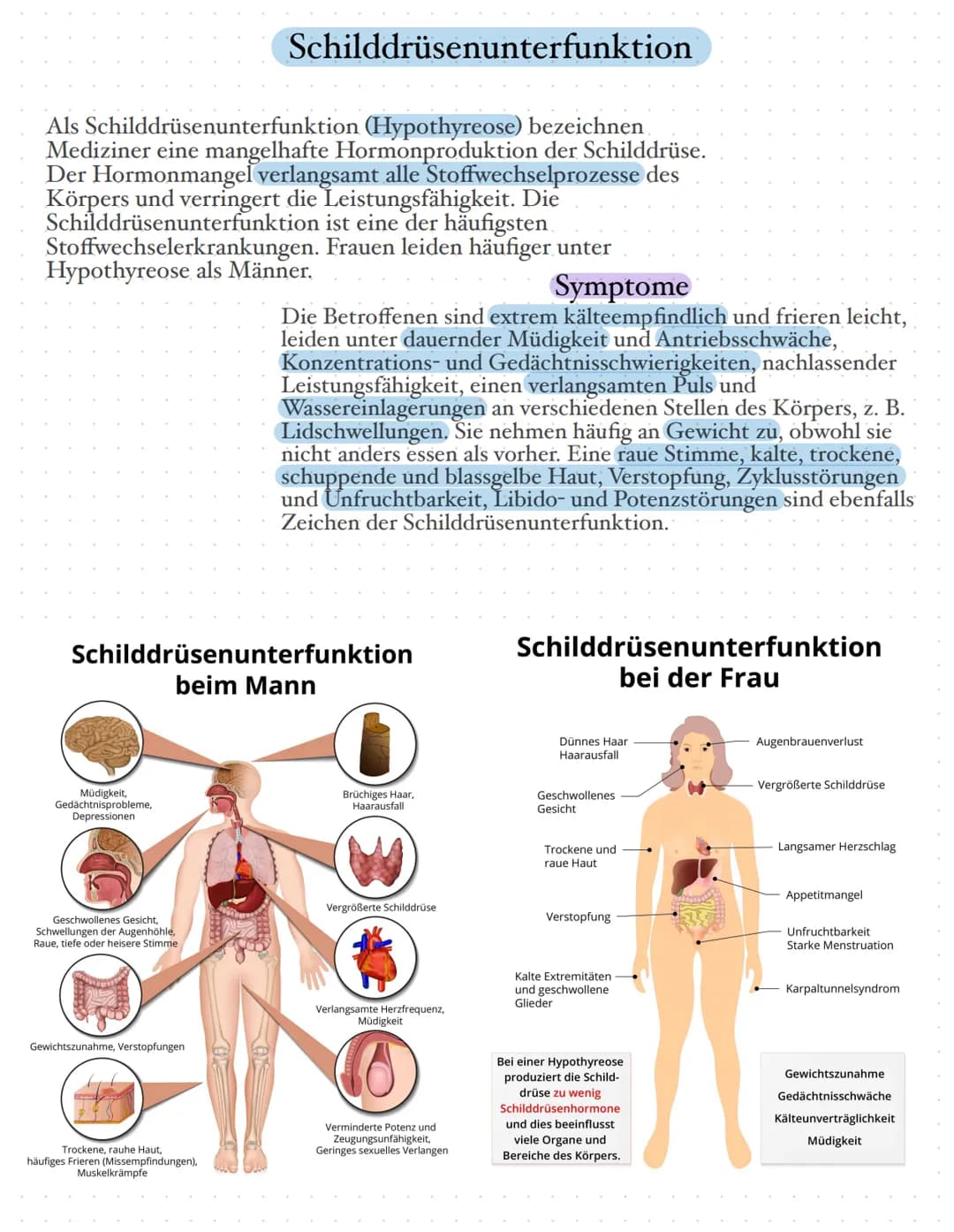 Die Schilddrüse
Die Schilddrüse ist eine lebenswichtige Hormondrüse. Sie spielt eine große
Rolle für den Stoffwechsel, das Wachstum und die 