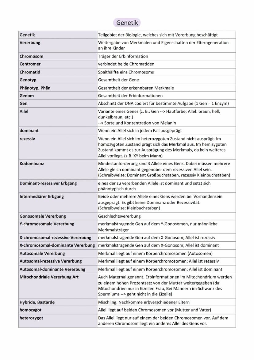 Viologic
Abitur Genetik
Vererbung
Chromosom
Centromer
Chromatid
Genotyp
Phänotyp, Phän
Genom
Gen
Allel
dominant
rezessiv
Kodominanz
Dominant