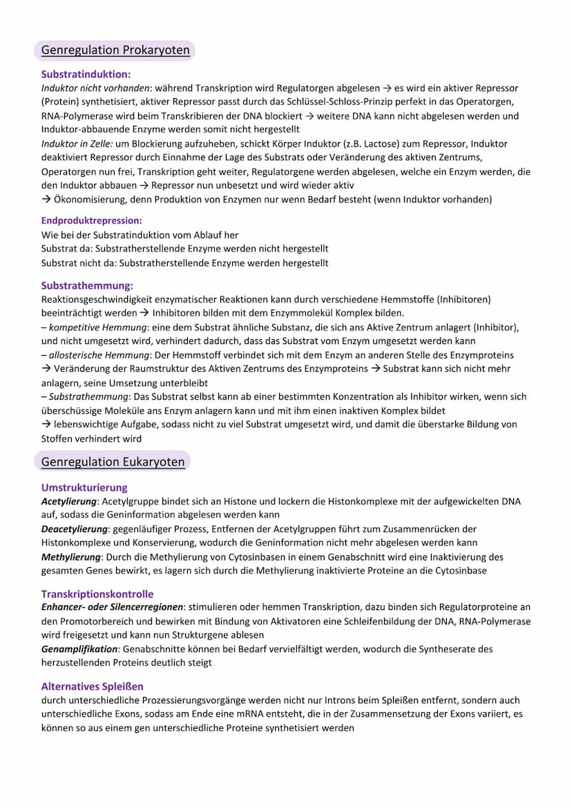 Viologic
Abitur Genetik
Vererbung
Chromosom
Centromer
Chromatid
Genotyp
Phänotyp, Phän
Genom
Gen
Allel
dominant
rezessiv
Kodominanz
Dominant