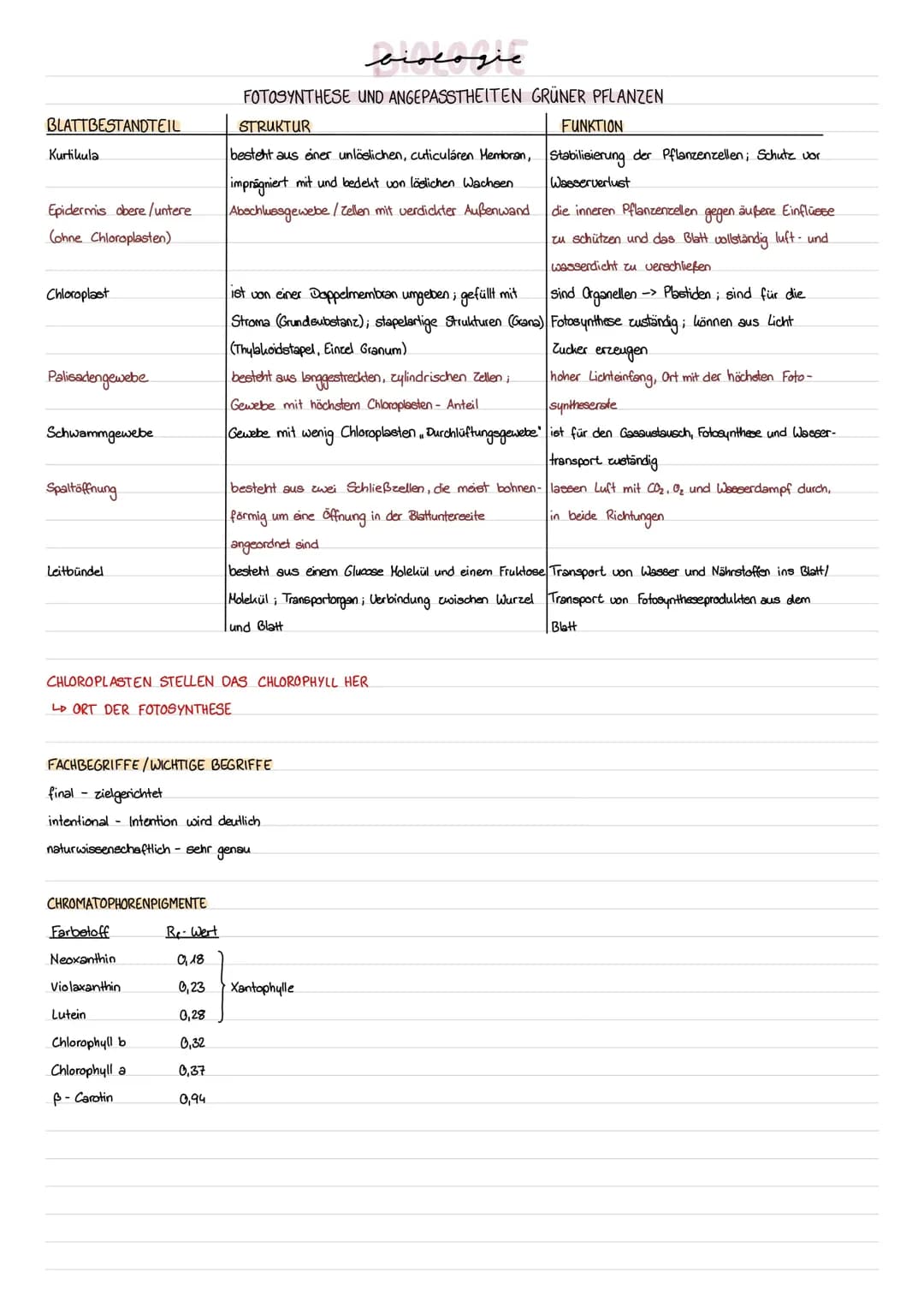 Chloroplasten: Struktur und Funktion
